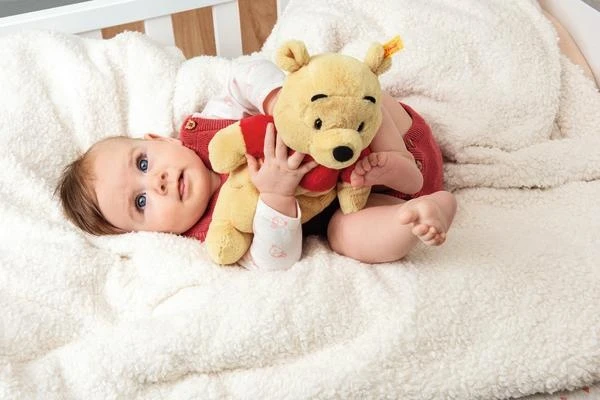 Steiff Knuffel Soft Cuddly Friends Disney Winnie The Pooh 2 Steiff Knuffel Soft Cuddly Friends Disney Winnie The Pooh - Afbeelding 2