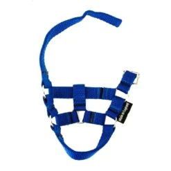 Crafty Ponies Halster Blauw