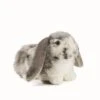 Living Nature Knuffel Konijn Nederlandse Hangoor Dwerg Grijs
