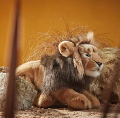 Living Nature Knuffel Leeuw Liggend 45 Cm 5 Living Nature Knuffel Leeuw Liggend 45 Cm -Kinderproducten image 1908