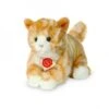 Hermann Teddy Knuffel Kat Rood Getijgerd