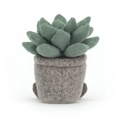 Jellycat Knuffel Plant Silly Succulent Azulita 5 Jellycat Knuffel Plant Silly Succulent Azulita -Kinderproducten image 735